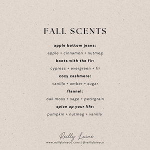 Fall Discovery Set